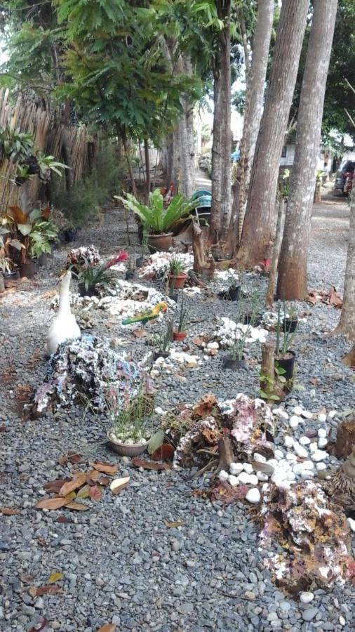 拉玛尔住宿加早餐旅馆 公主港 客房 照片